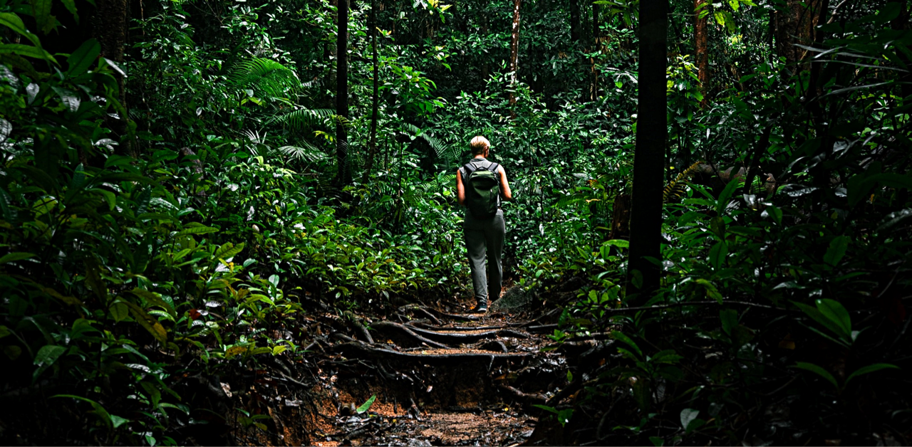 Woman walking on path in rainforest